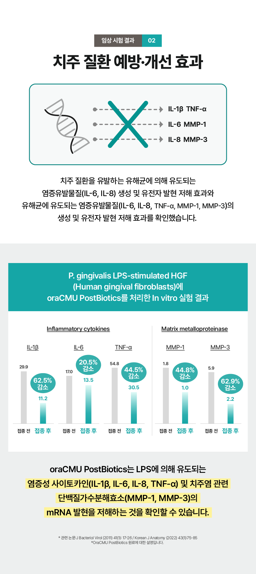 프로바이츄 덴탈 오리지널