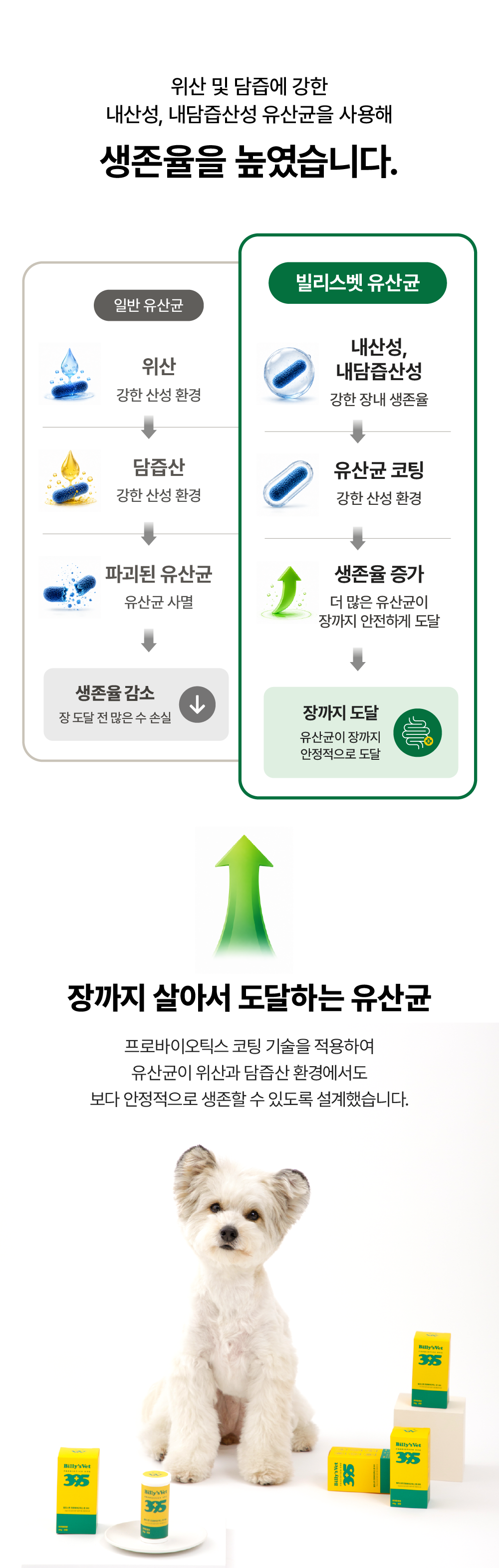 [면역력&장 건강] 프로바이오틱스 원 395 30g