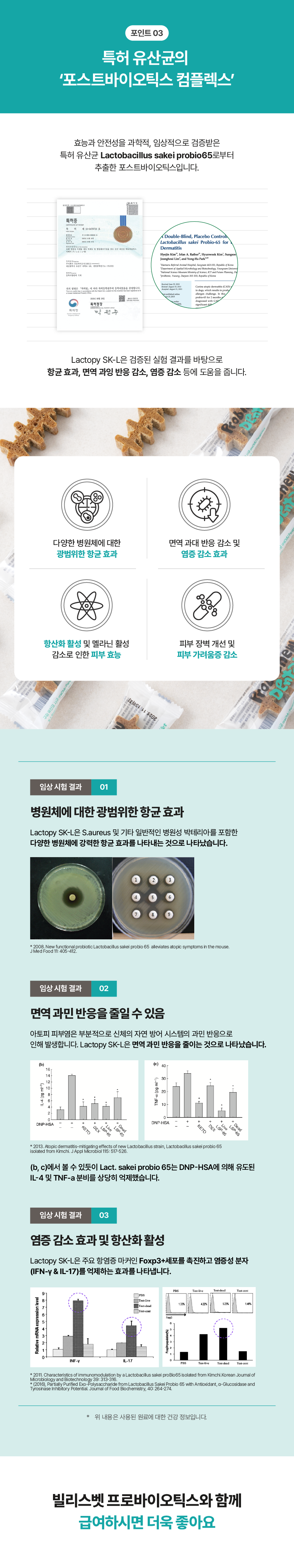 프로바이츄 덴탈 오리지널