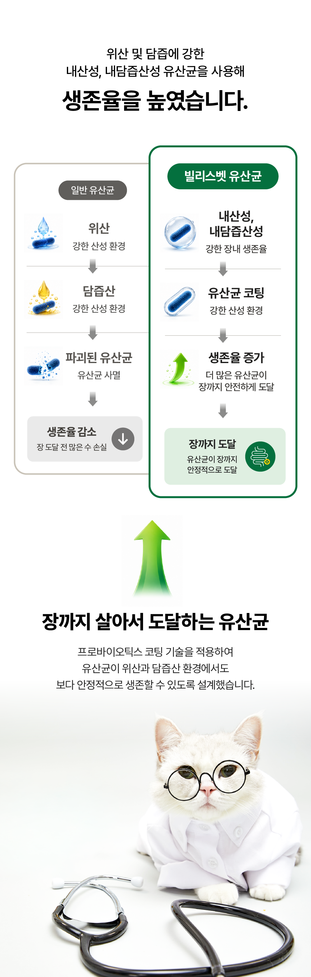 [면역력&장 건강] 프로바이오틱스 원 캣 30g