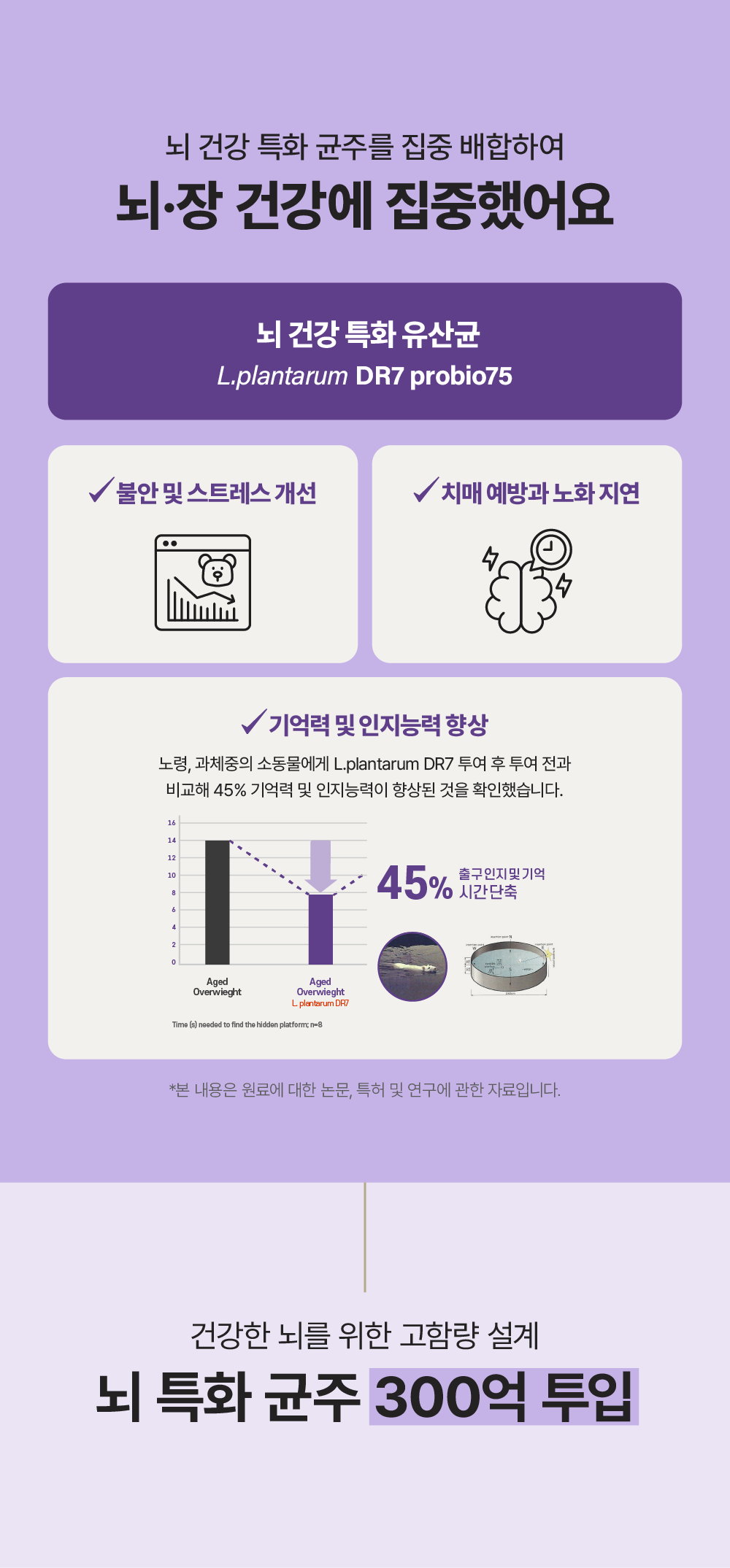 [뇌건강&장건강] 프로바이오틱스 C