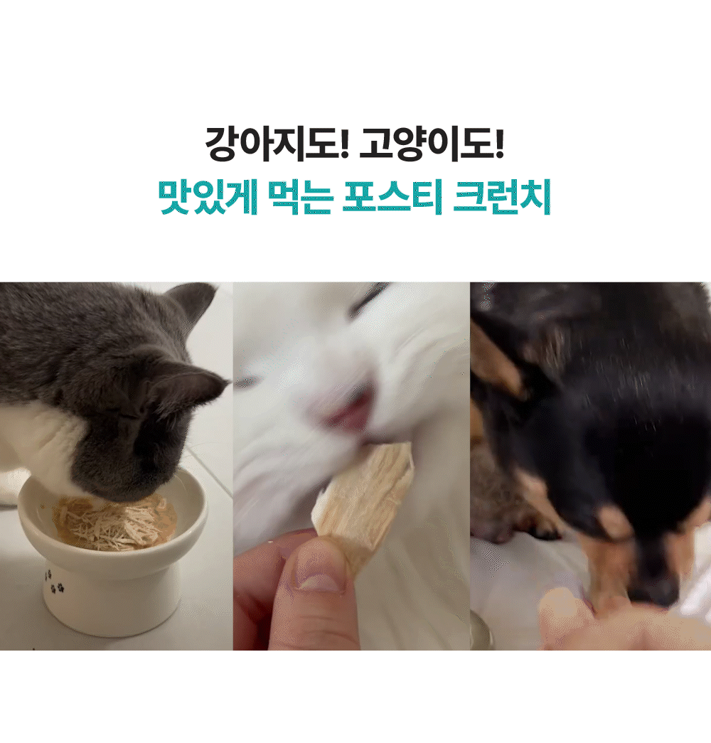 포스티 크런치 치킨