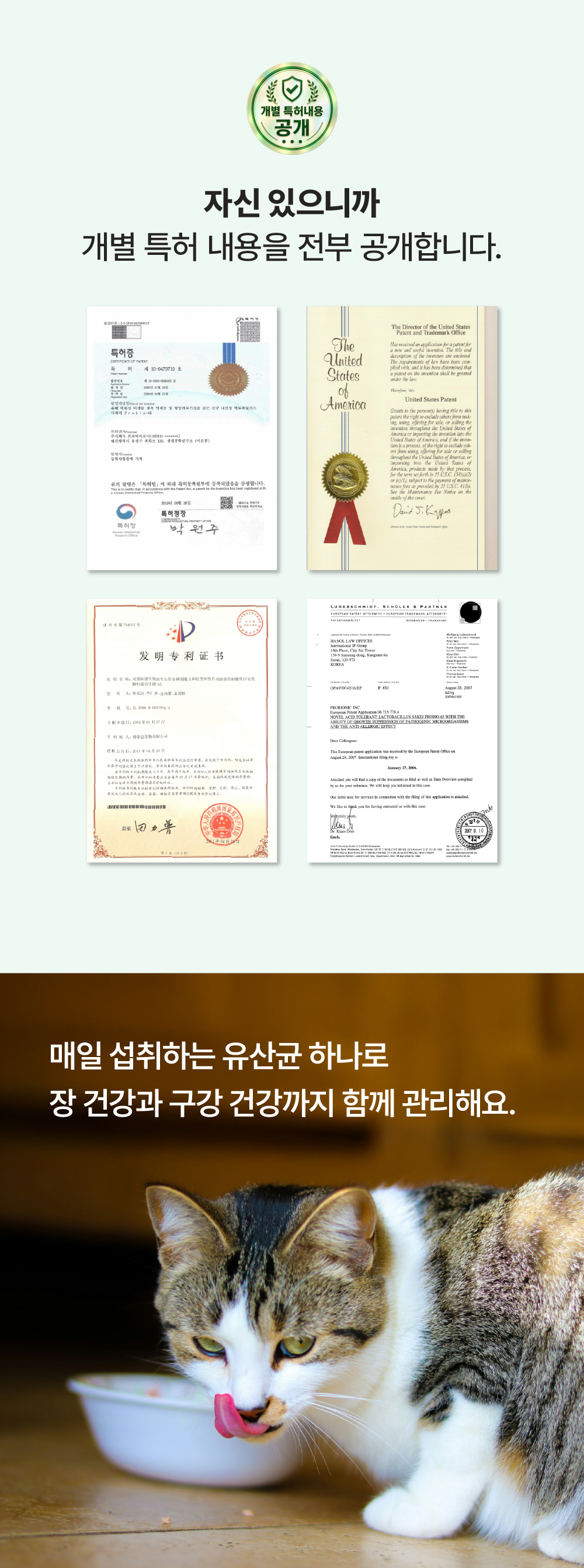 [면역력&장 건강] 프로바이오틱스 원 캣 30g