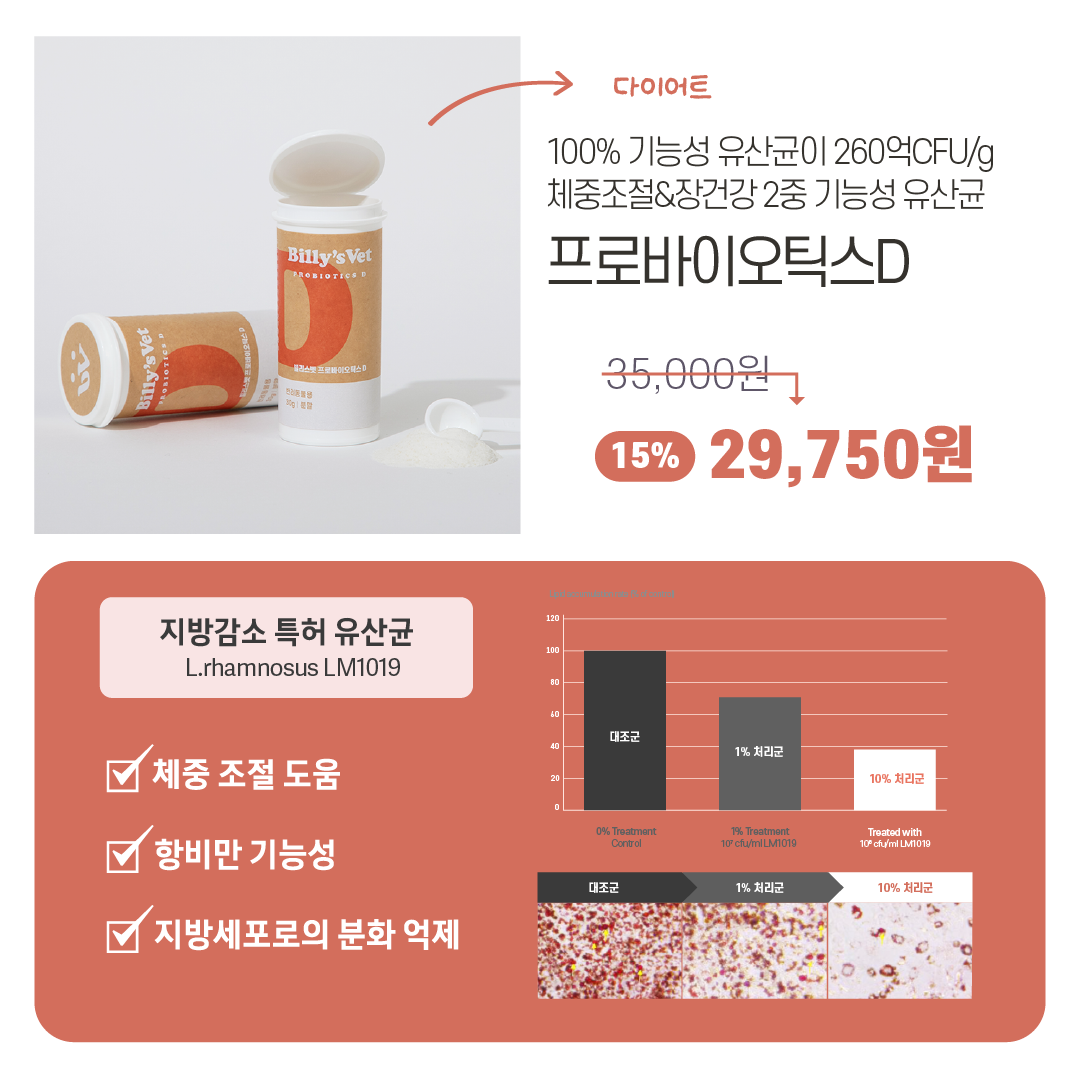 [라떼X빌리스벳] 프로바이츄덴탈 9차 공구✨