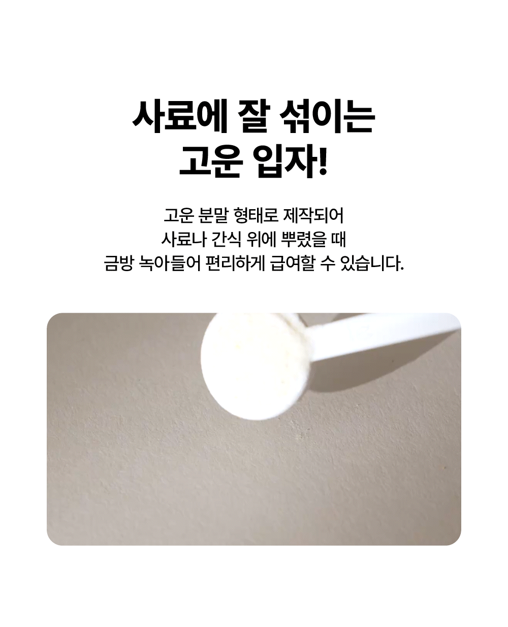 [체중조절&장건강] 프로바이오틱스 D
