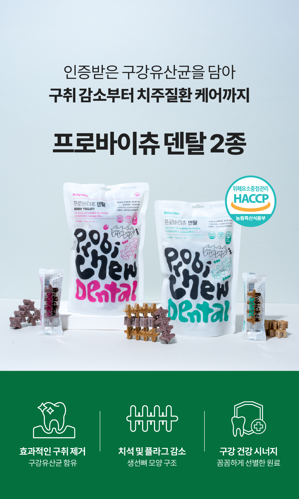 프로바이츄 덴탈 2종 set