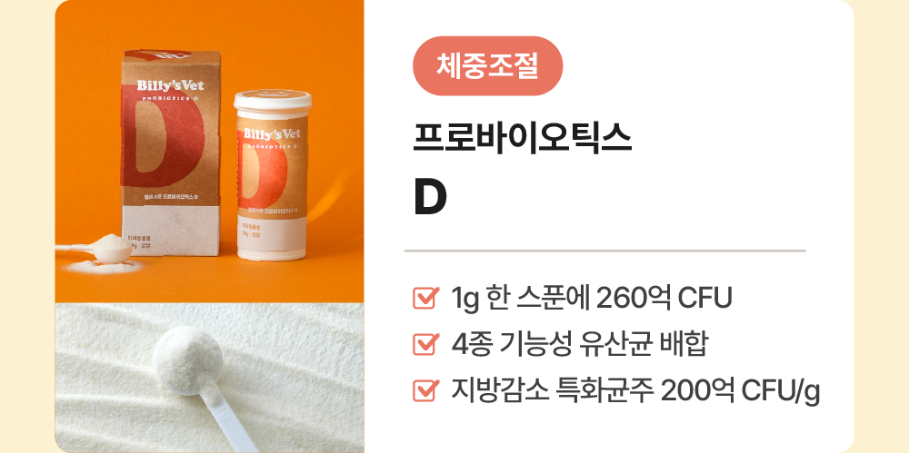 면역력 향상부터 다이어트까지set (프로바이오틱스원395+프로바이오틱스D)