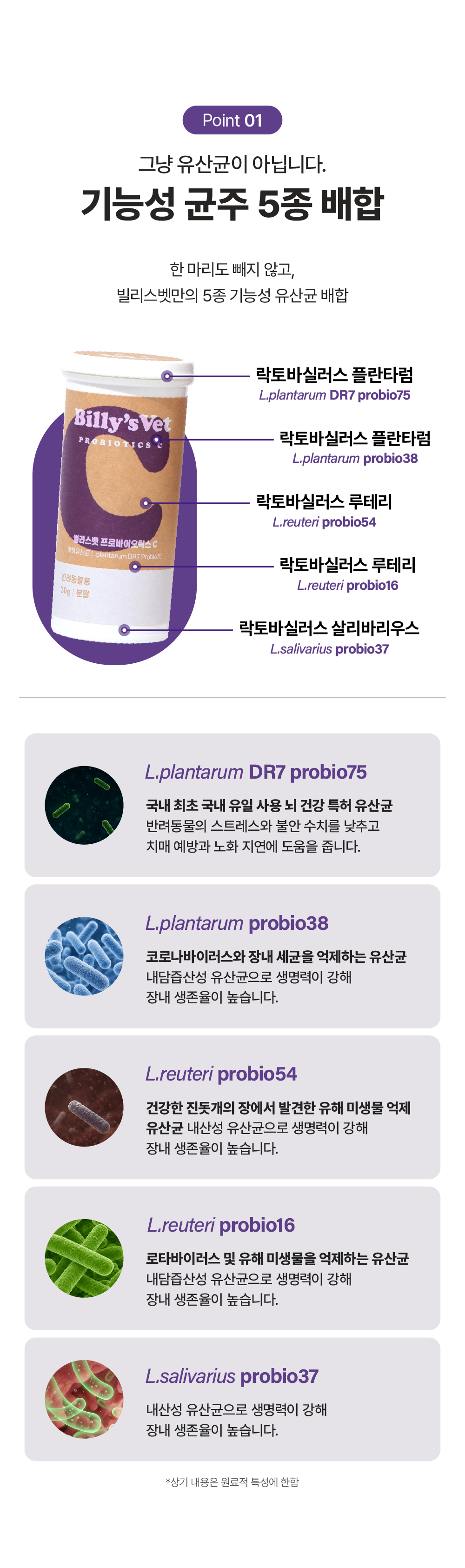 [뇌건강&장건강] 프로바이오틱스 C