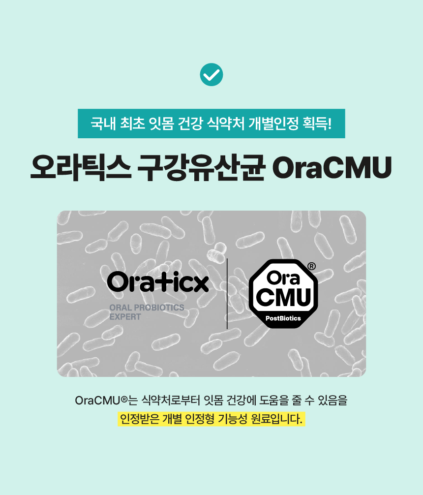 프로바이츄 덴탈 오리지널