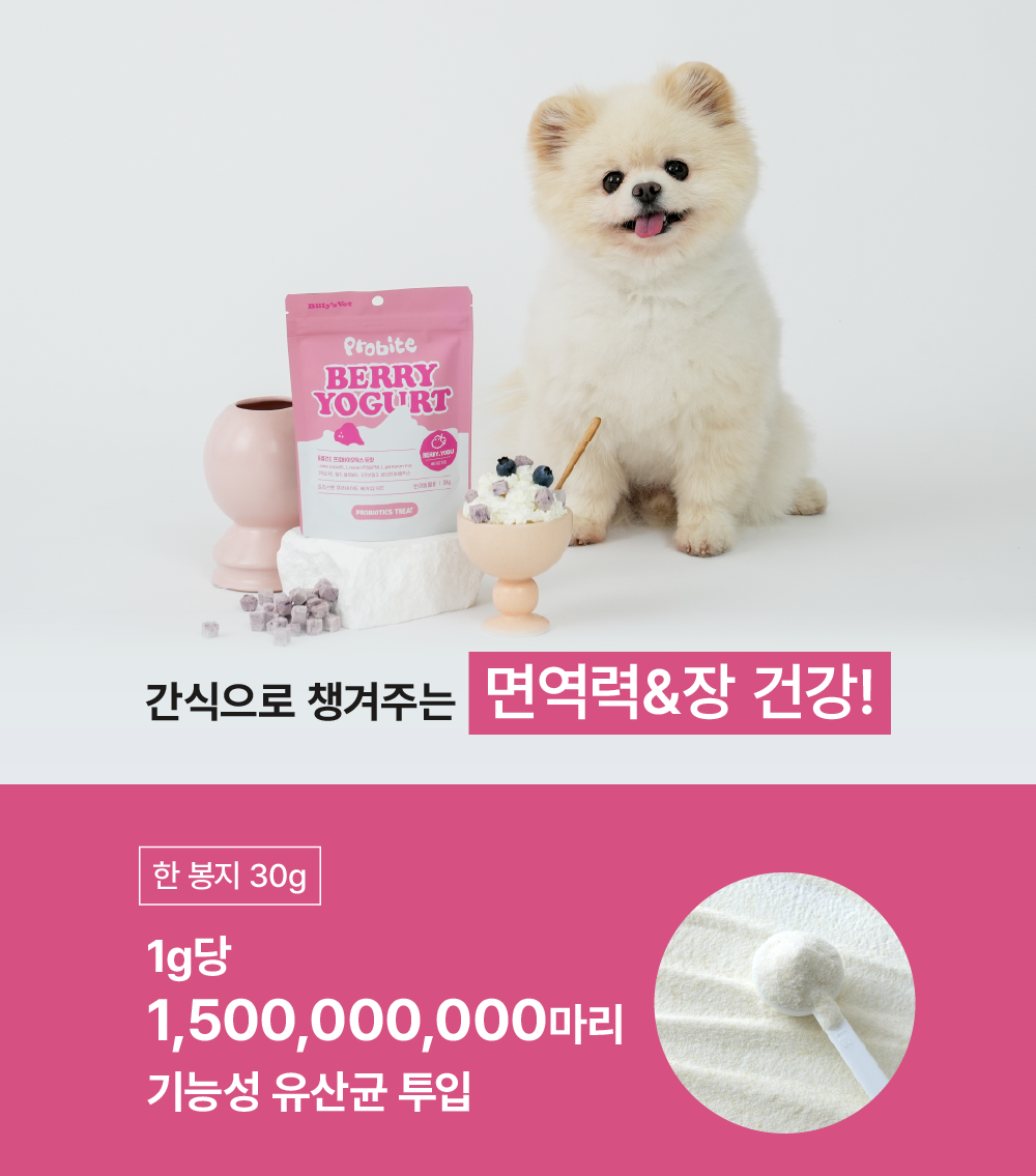 면역강화 프로바이트 베리요거트