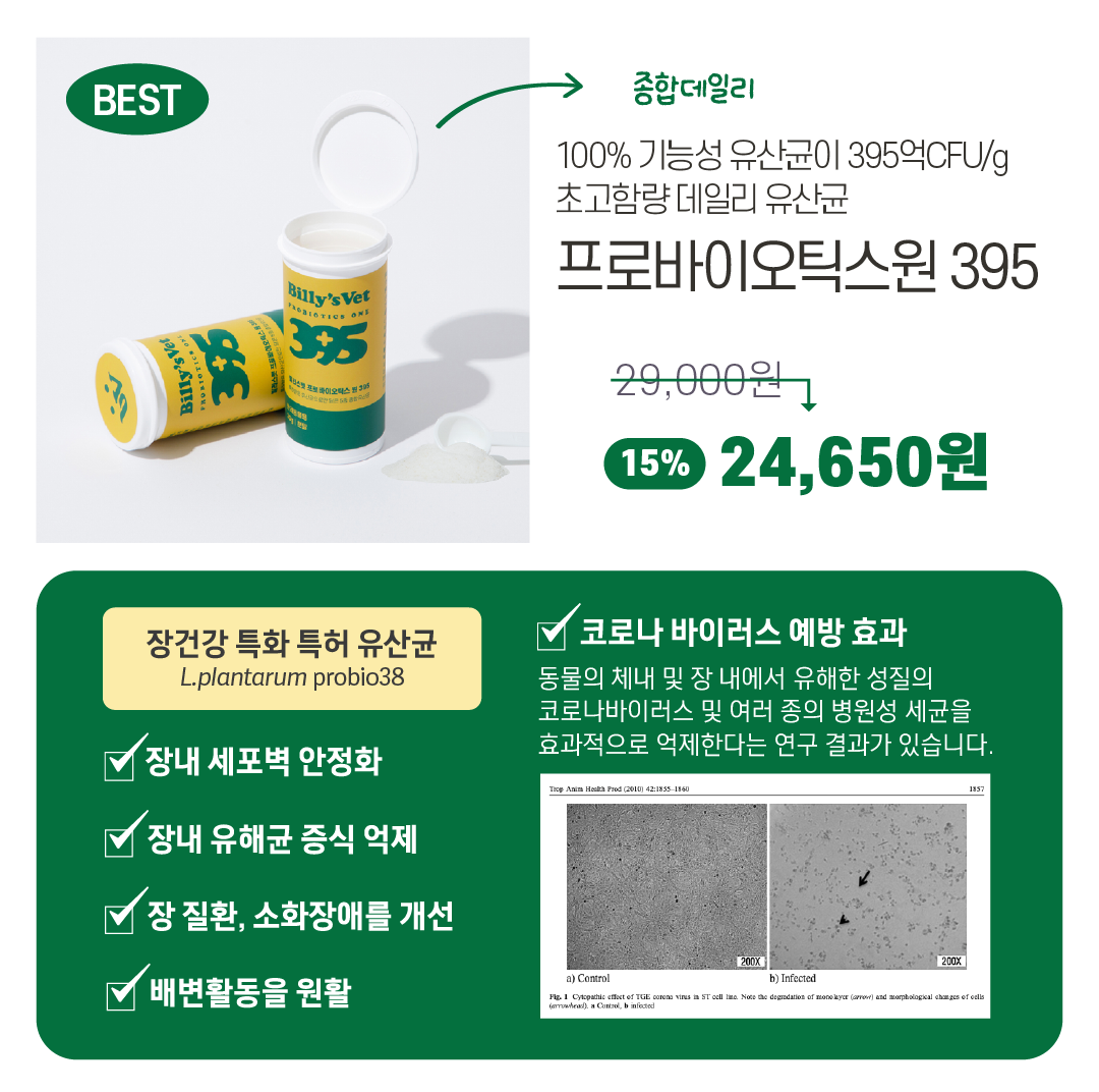 [라떼X빌리스벳] 프로바이츄덴탈 9차 공구✨