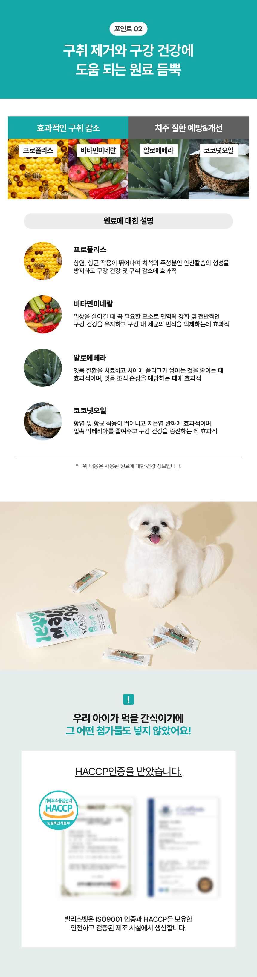 프로바이츄 덴탈 오리지널