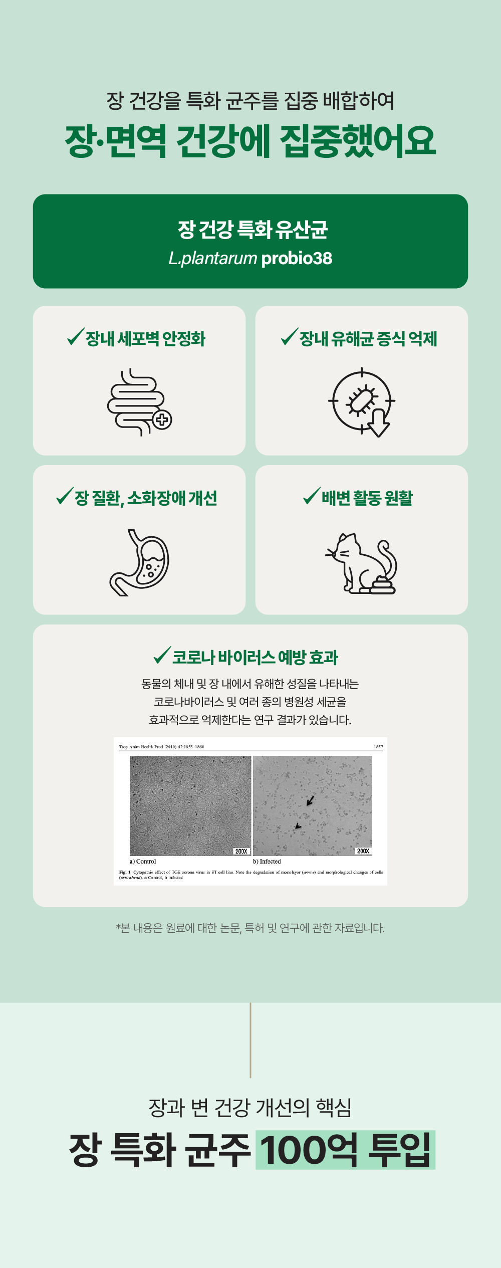 [면역력&장 건강] 프로바이오틱스 원 캣 30g