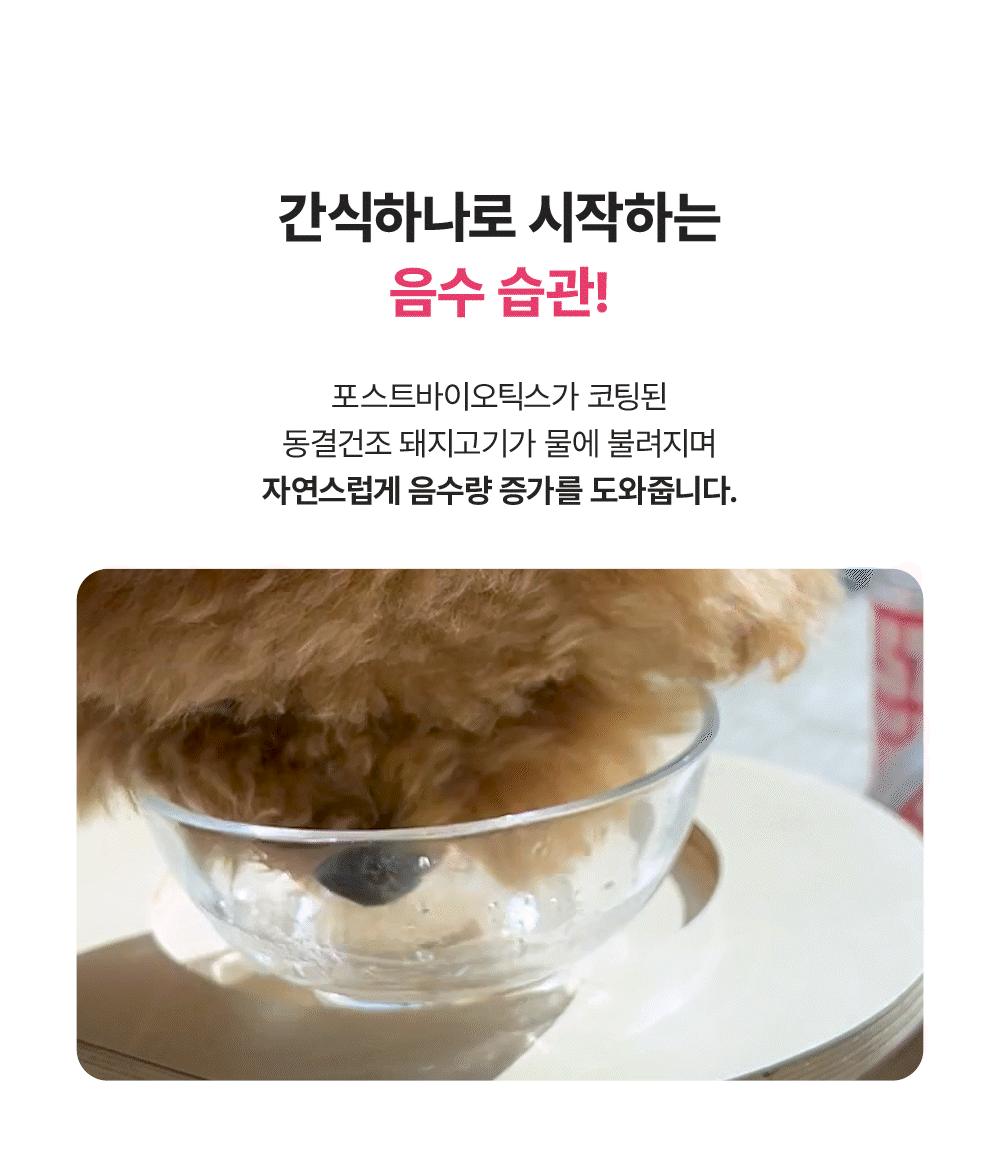 포스티 크런치 포크