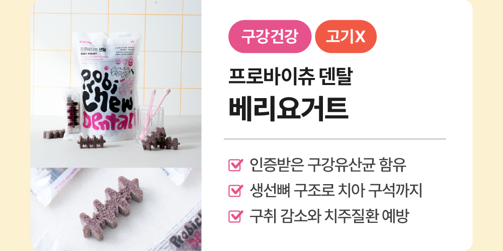 프로바이츄 덴탈 3개 골라담기