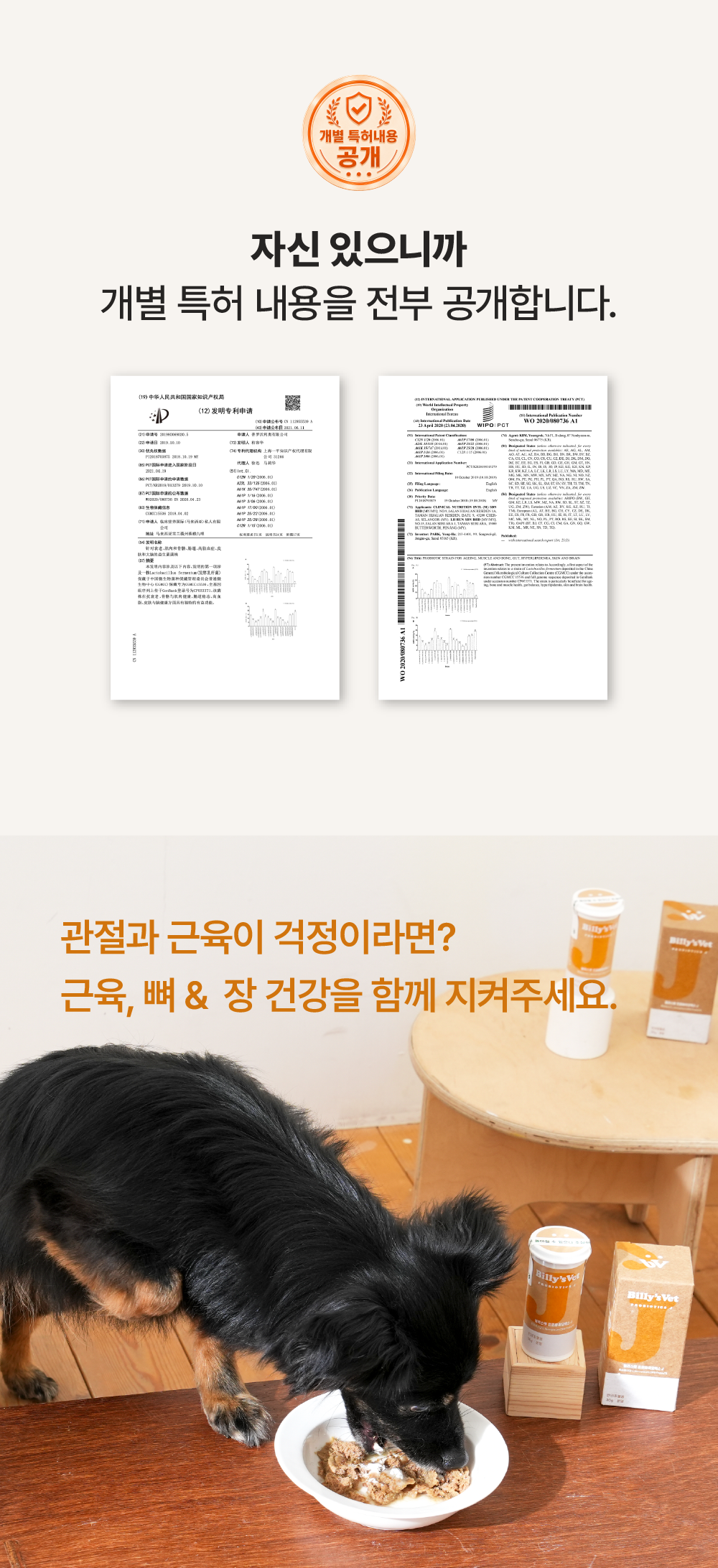 [근육,뼈건강&장건강] 프로바이오틱스 J