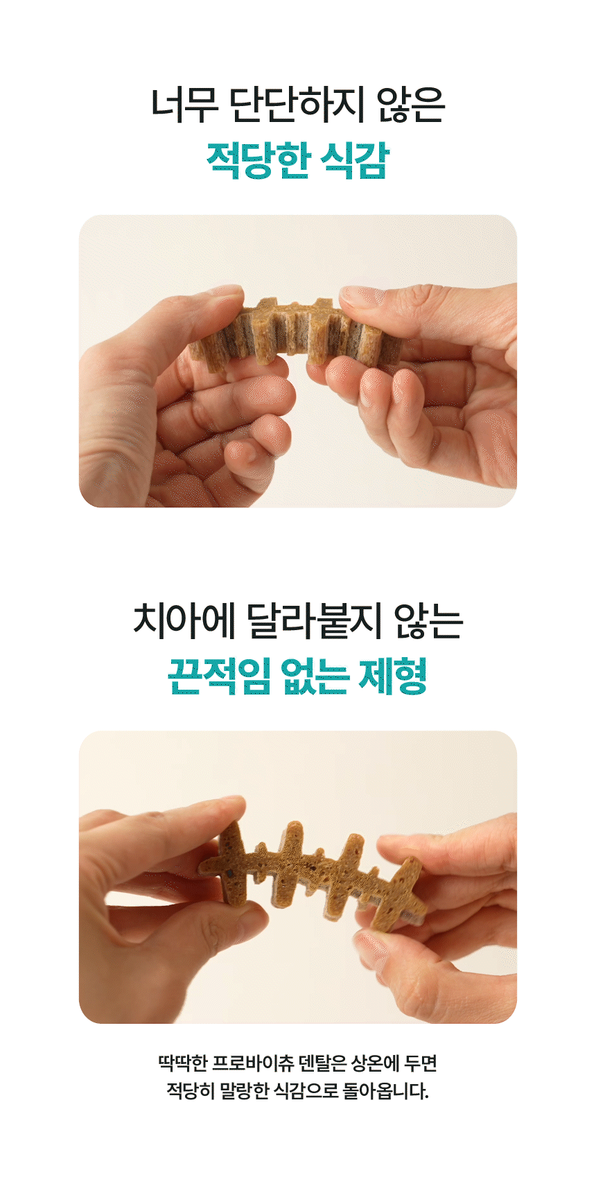 프로바이츄 덴탈 오리지널