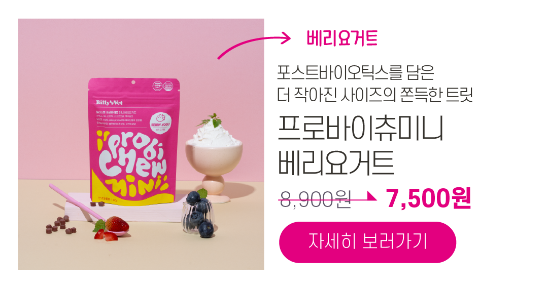 [라떼X빌리스벳] 프로바이츄덴탈 9차 공구✨