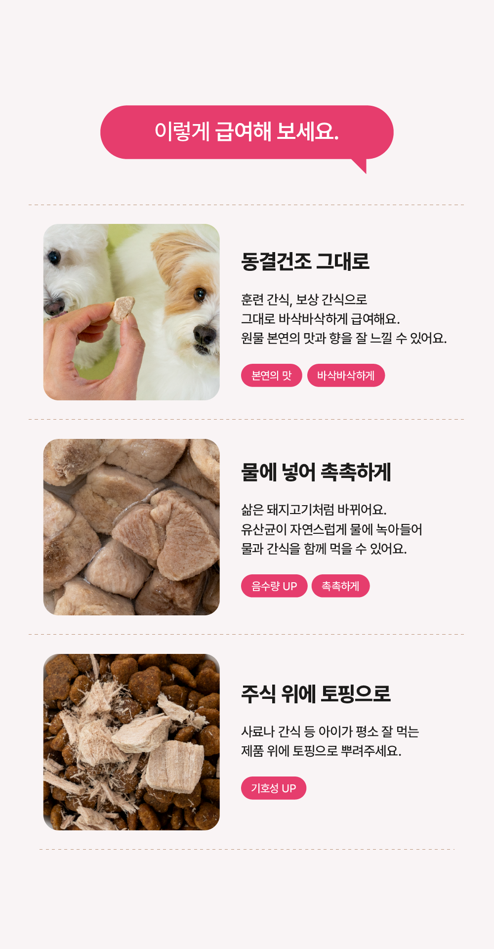 포스티 크런치 포크