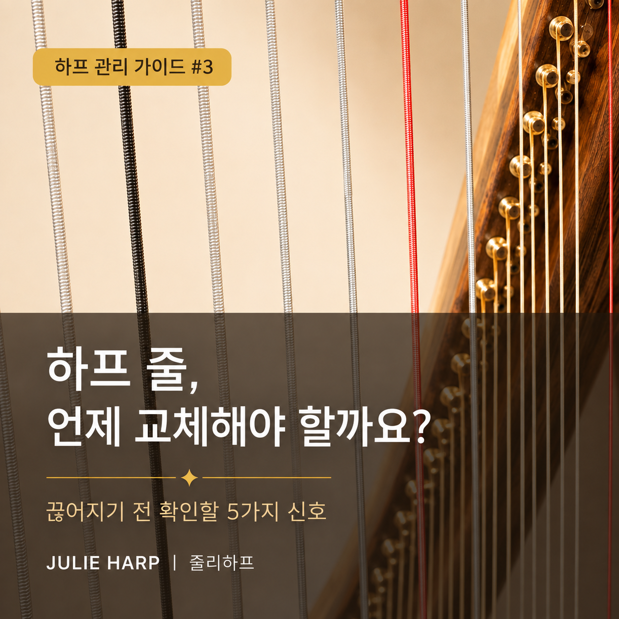 하프 관리 가이드 3 하프줄 교체 시기와 끊어지기 전 확인할 5가지 신호
