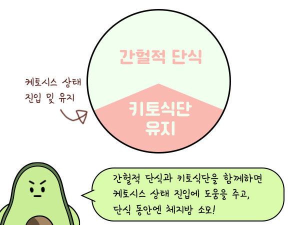 3월 데일리:) 간헐적 단식 / 다이어트 / 키토제닉 다이어트 / 서머그리팅 / 홈트 추천