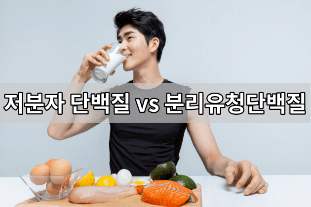 저분자 단백질과 분리유청 단백질 나에게 맞는 단백질은 무엇일까?