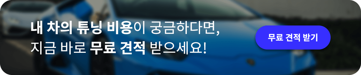 광명 양달로 / 랩핑 / BMW / X3