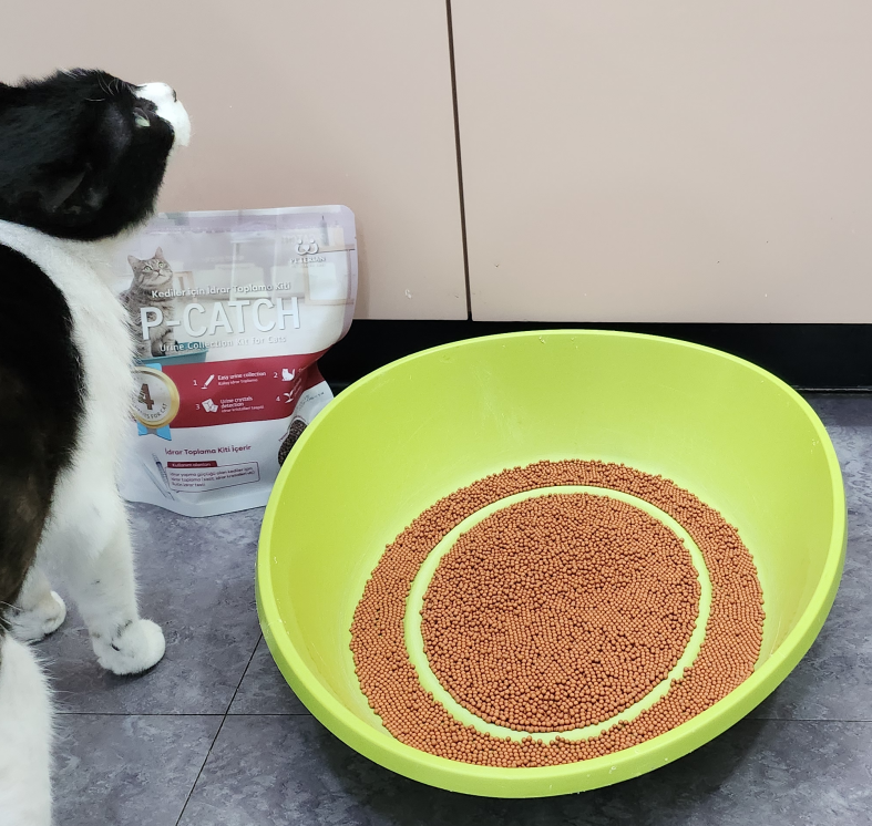 P-CATCH 페로몬 고양이 뇨채취 키트 0.4Kg