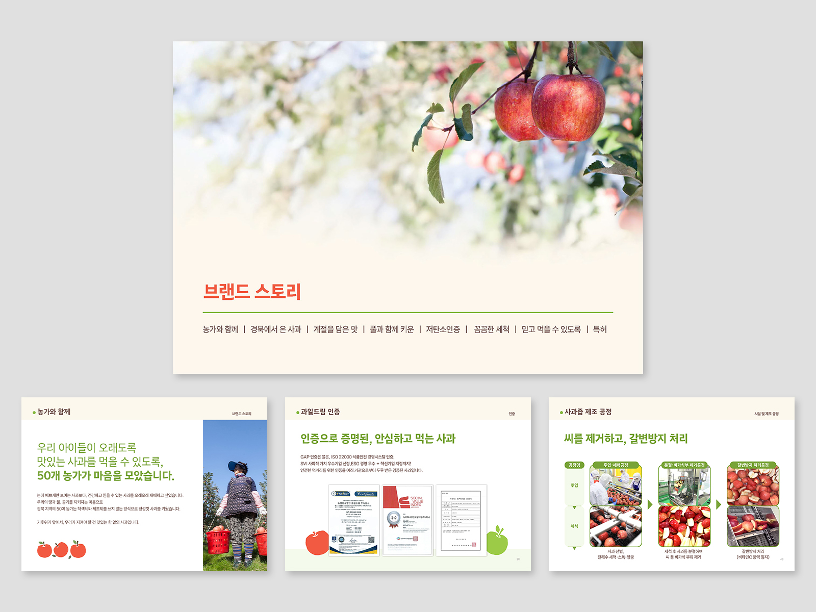 사회적가치성장지원사업 #농업브랜딩 #지속가능한농업 #수출형브랜드고도화 #BI디자인 #패키지시스템 #상세페이지디자인 #UIUX디자인 #인포그래픽 #농업회사법인과일드림 #가치소비자 #경북사과농가 #사회적경제기업 #사회적기업디자인 #공공디자인 #농산물패키지디자인 #농산물브랜드