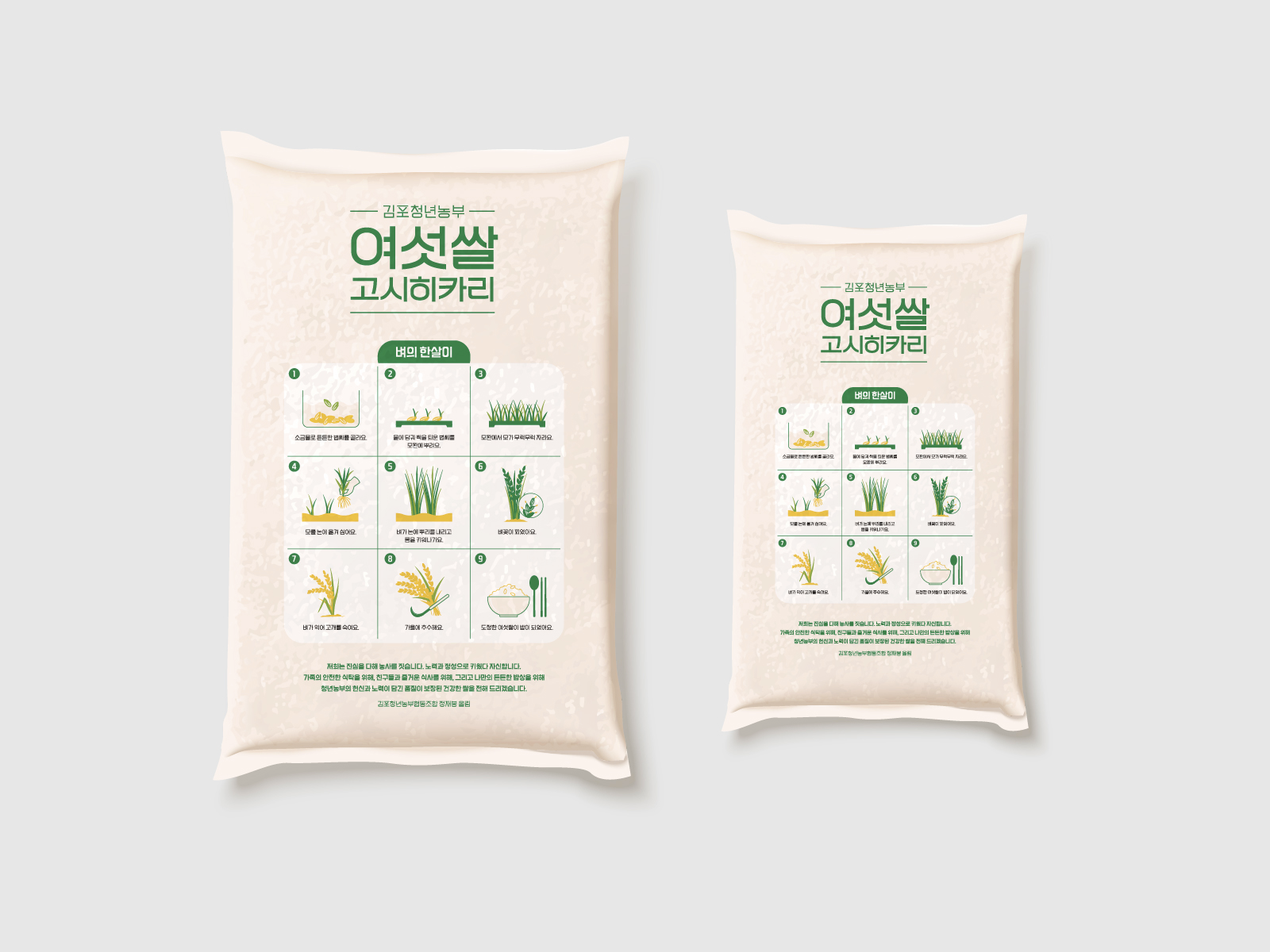 김포청년농부   여섯쌀 고시히카리  쌀 포장 패키지 브랜드 패키지 디자인