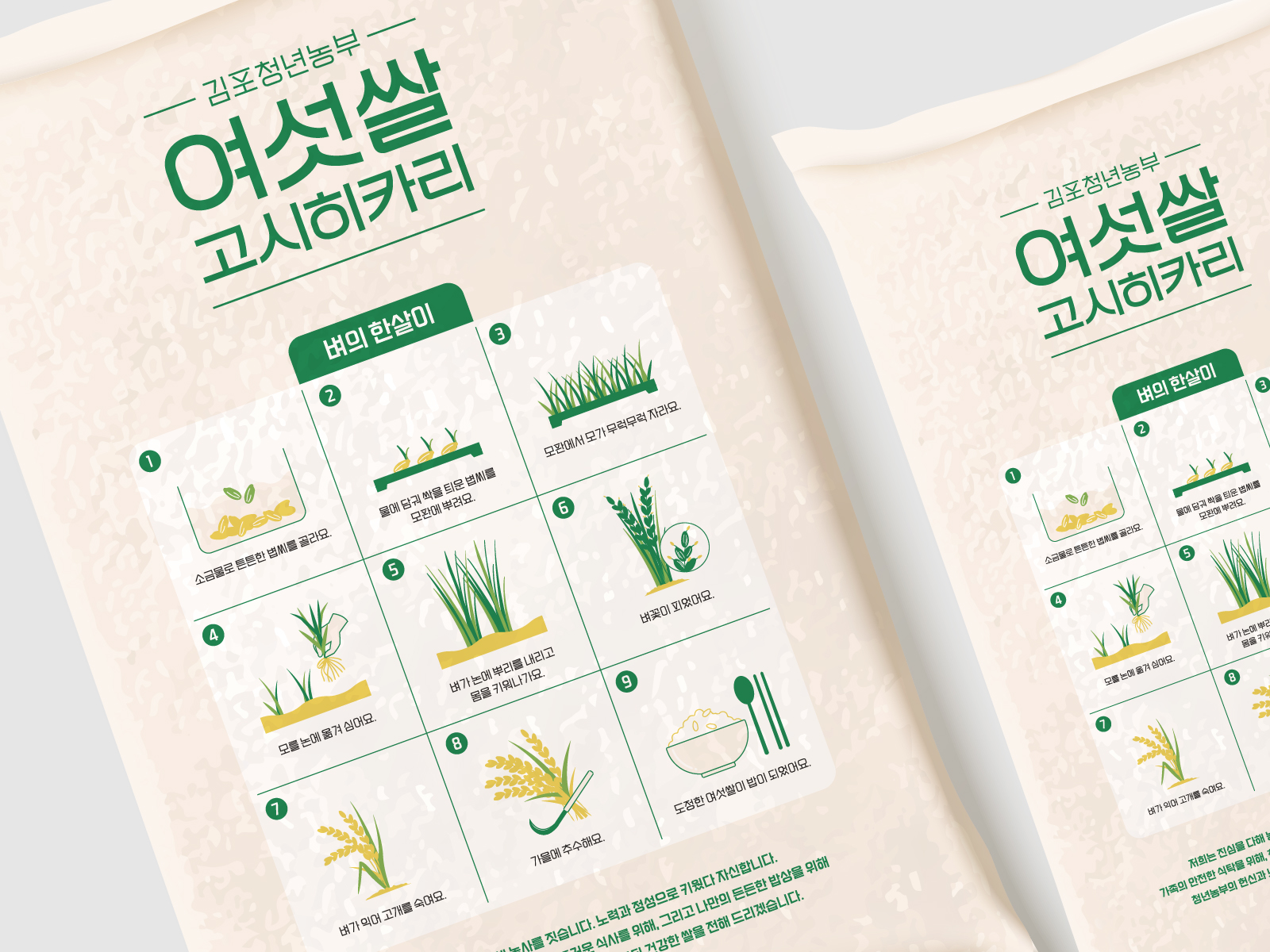 김포청년농부   여섯쌀 고시히카리  쌀 포장 패키지 브랜드 패키지 디자인