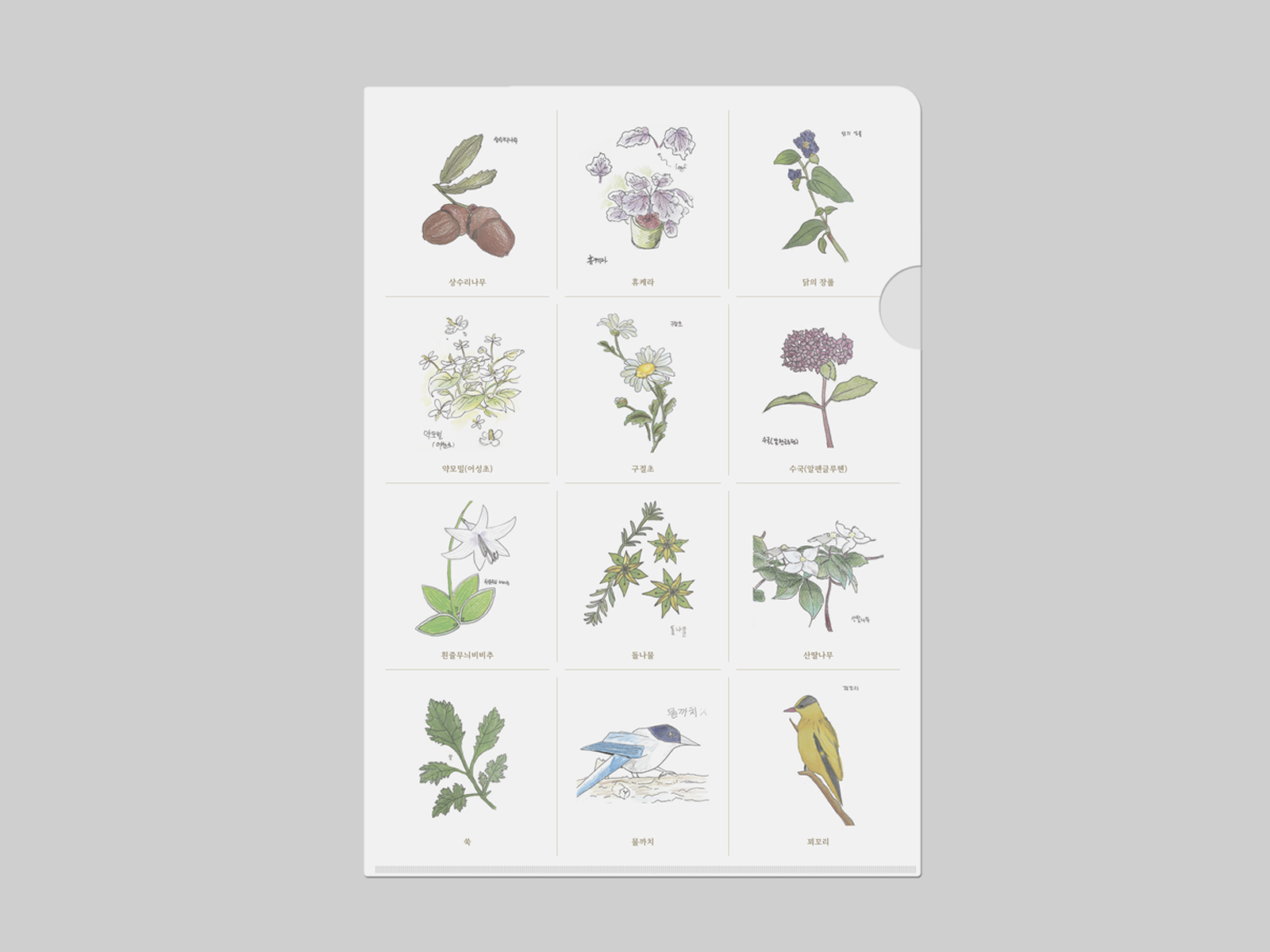 서상중학교 식물도감 송림지도 | 2025  식물도감 포스터 겸용 리플렛, L화일, 인쇄 및 제작