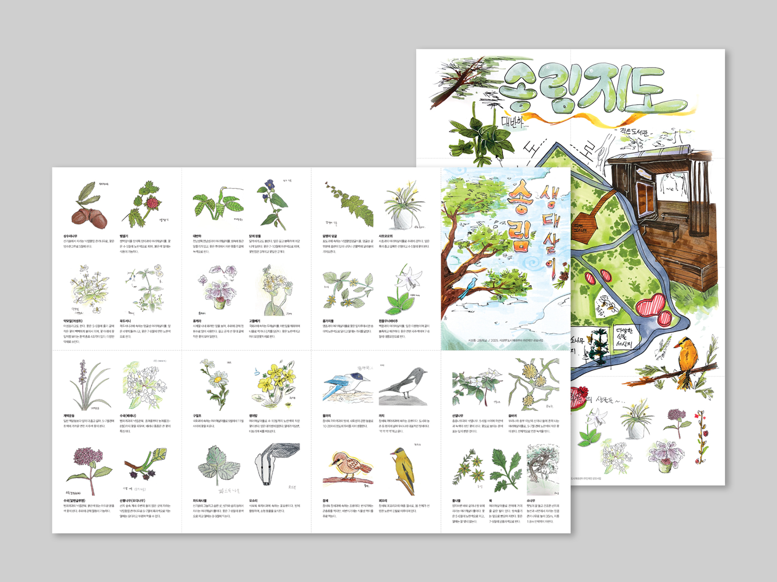 서상중학교 식물도감 송림지도 | 2025  식물도감 포스터 겸용 리플렛, L화일, 인쇄 및 제작