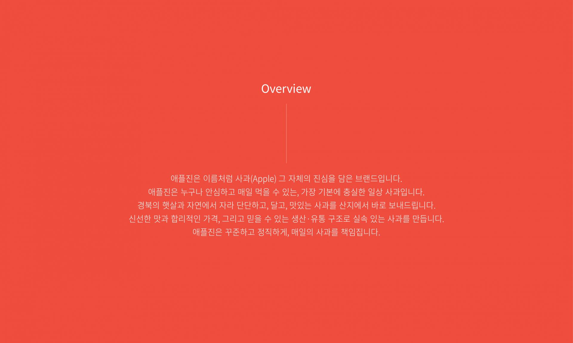 과일드림 애플진, 몽실언니 브랜드 디자인  | 2025  브랜드 기획, 로고 디자인, 브랜드 소개서      2025년도 경상북도 사회적가치 우수 ․유망기업 성장지원사업  (예비)사회적기업 도약기 & 수익모델 개발 지원사업으로 진행한 프로젝트 입니다.
