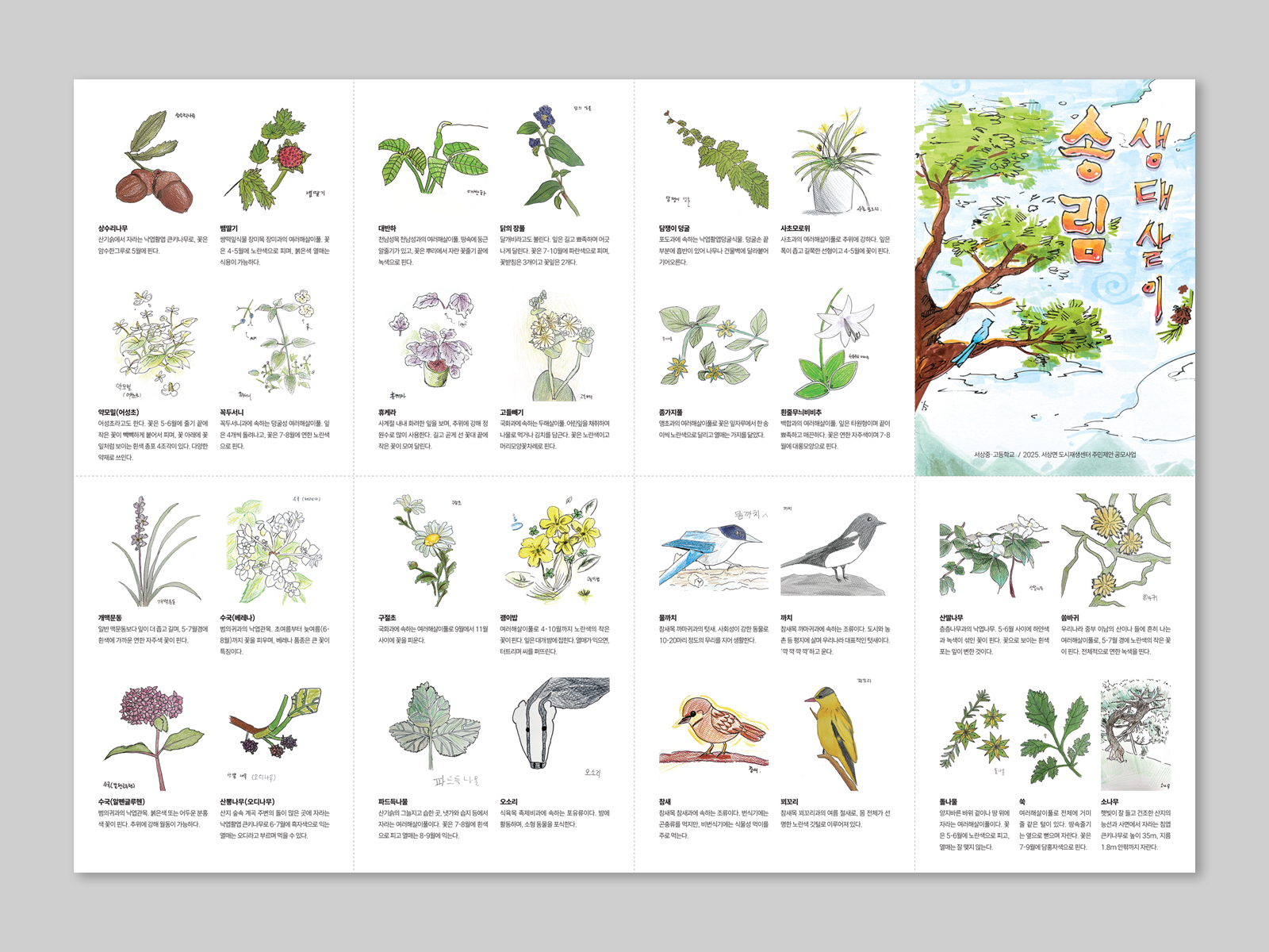 서상중학교 식물도감 송림지도 | 2025  식물도감 포스터 겸용 리플렛, L화일, 인쇄 및 제작