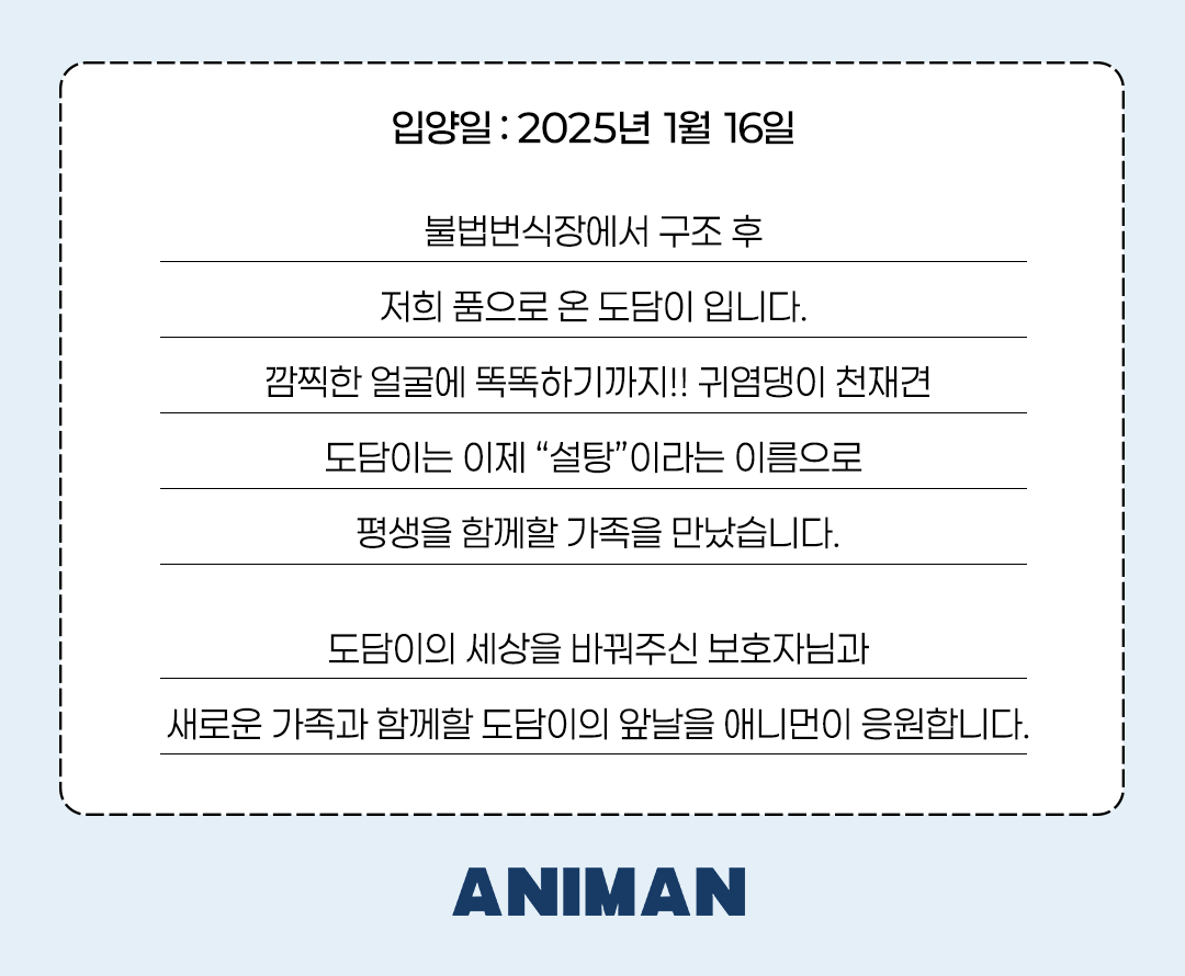 91504e74a8605.png