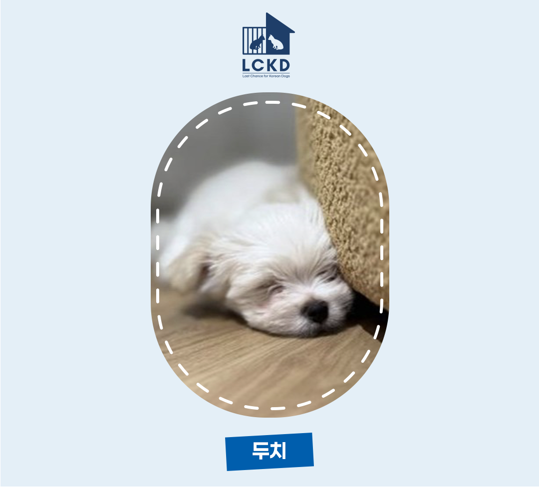 b2775035d53c7.png