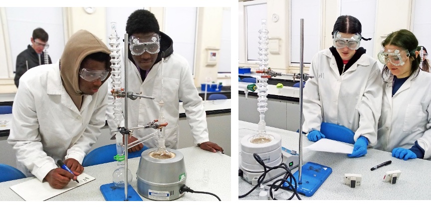 c20f39c8a4664.jpg