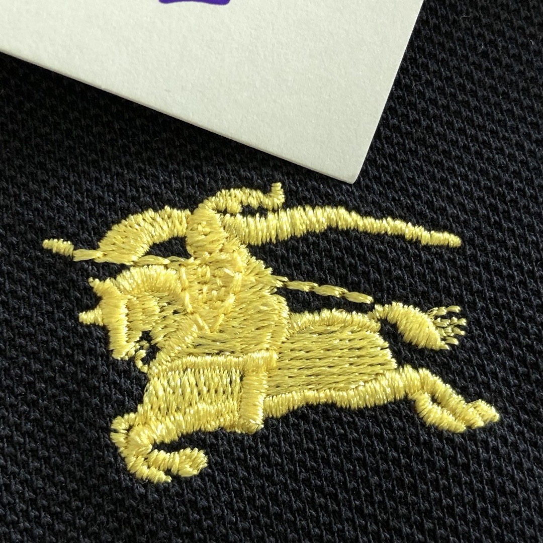 1037683f93589.jpg