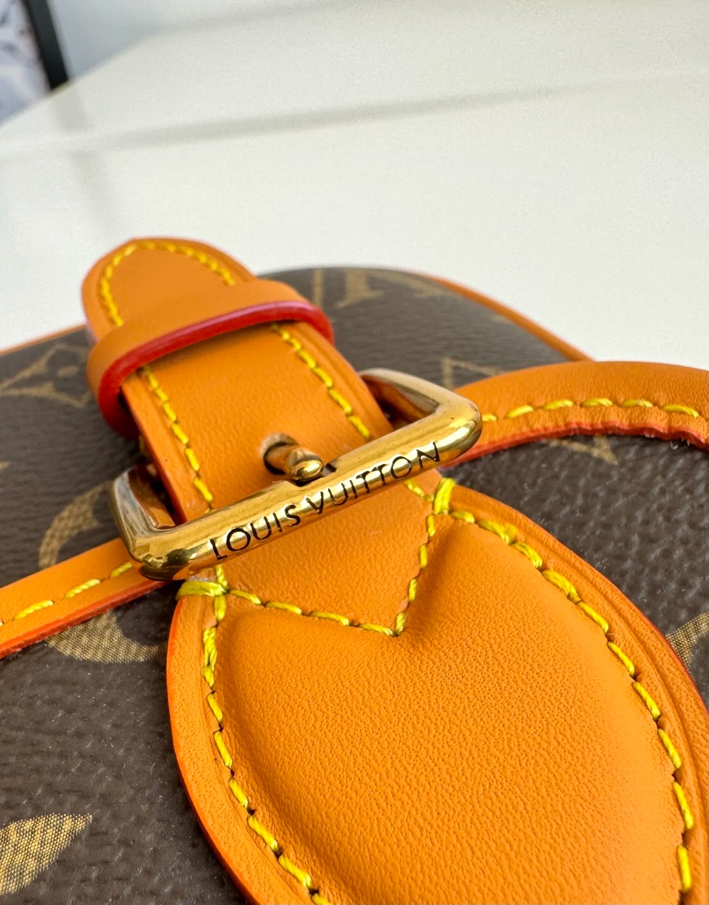 LV M26805 사첼 미니 핸드백/크로스바디 백 (해외 정품) - 상세 이미지 6장