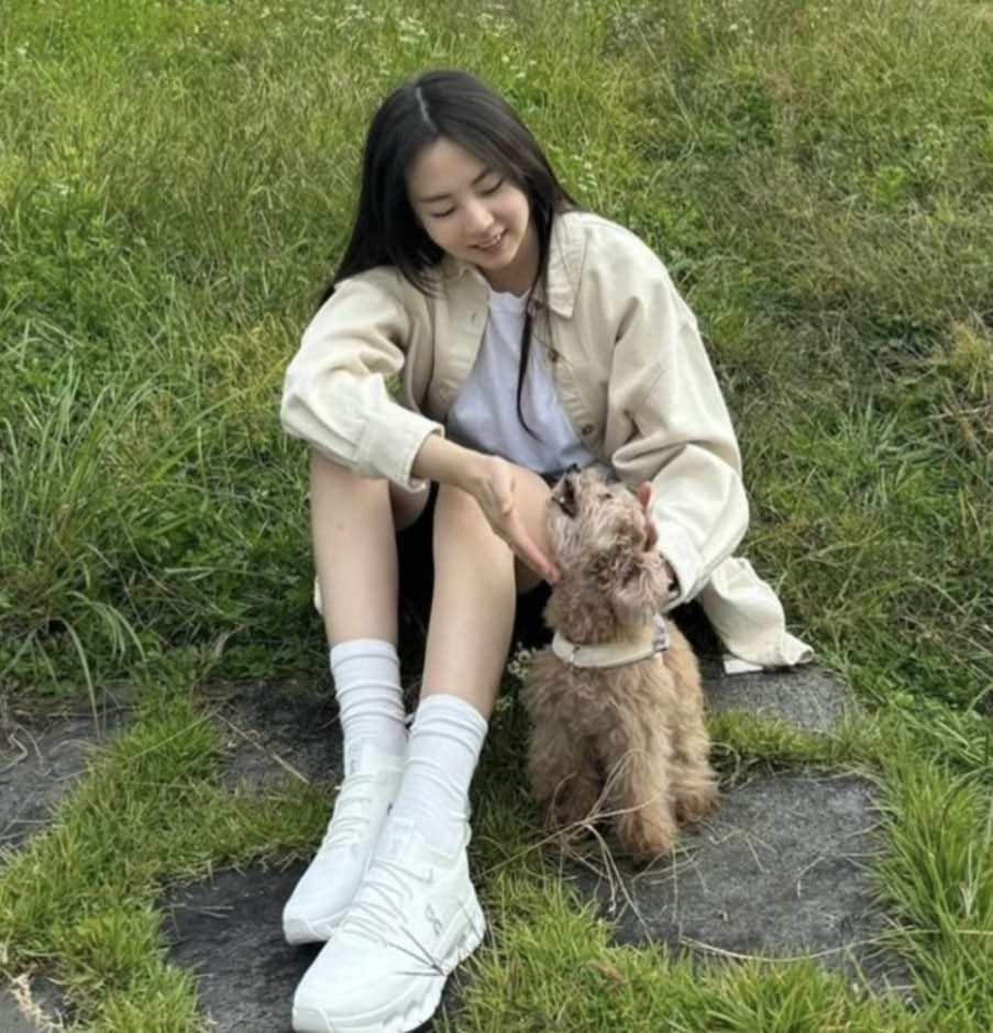 사용자가 올린 이미지