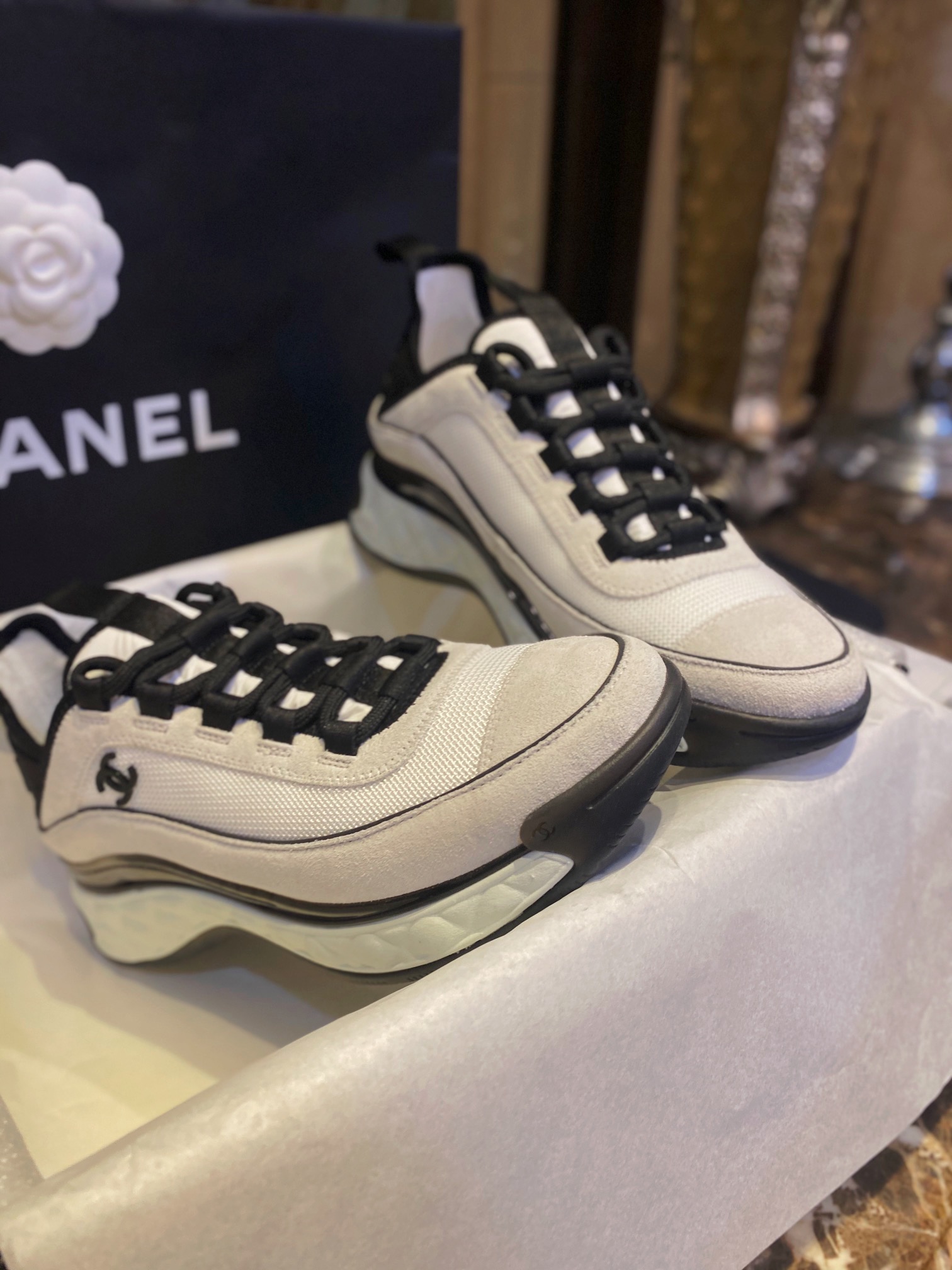 cd514d2389d62.jpg