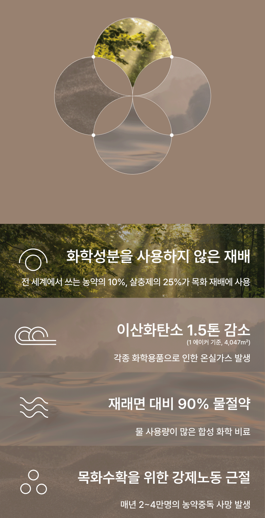 임시