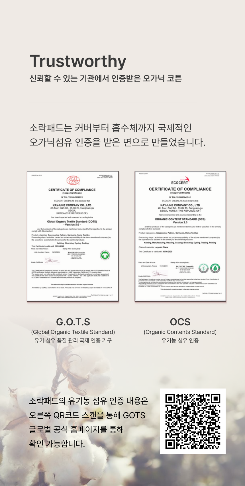 임시