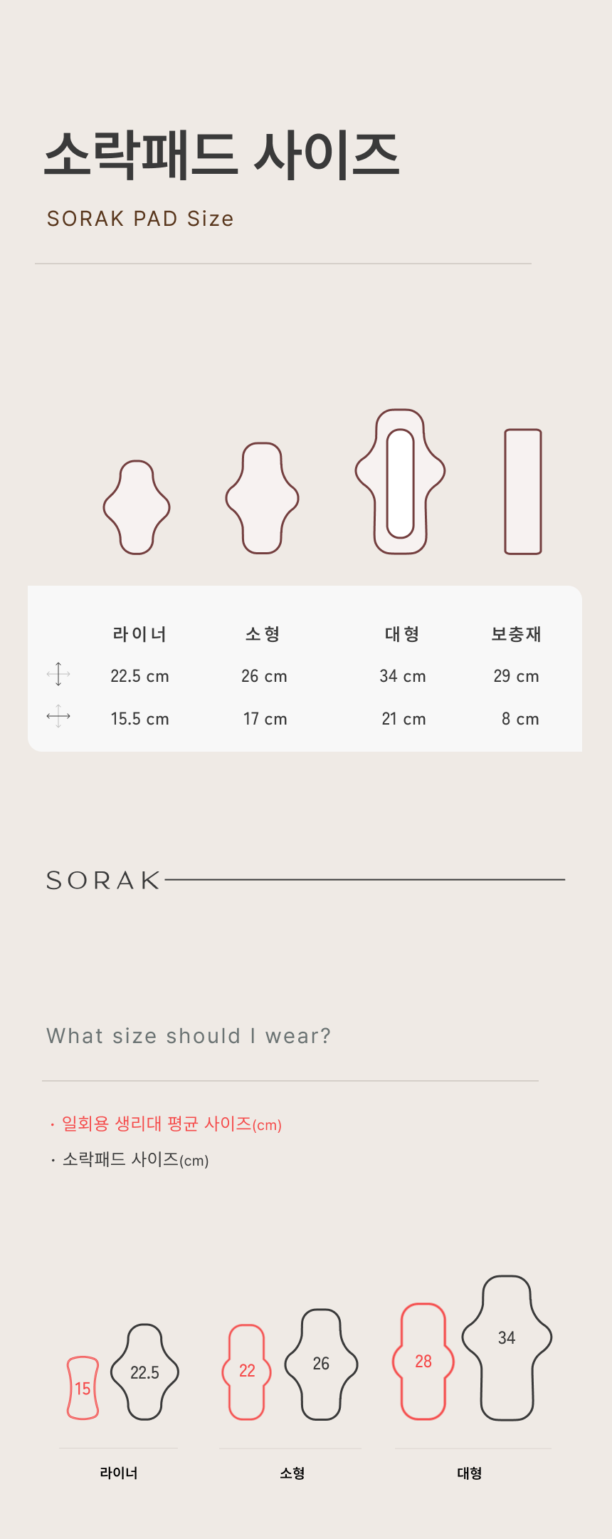 데일리