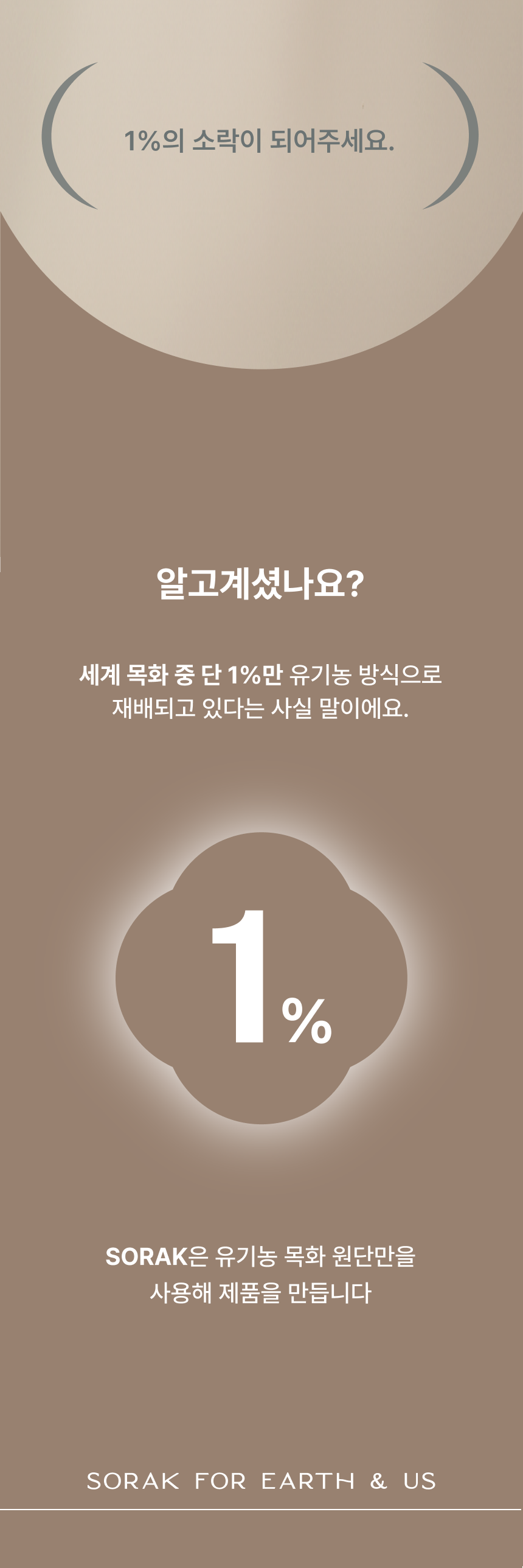 데일리