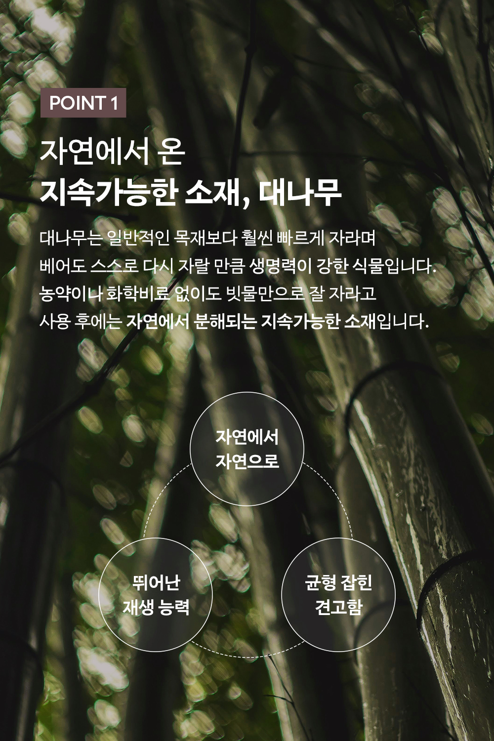 모어포모레 / 모레의 대나무칫솔