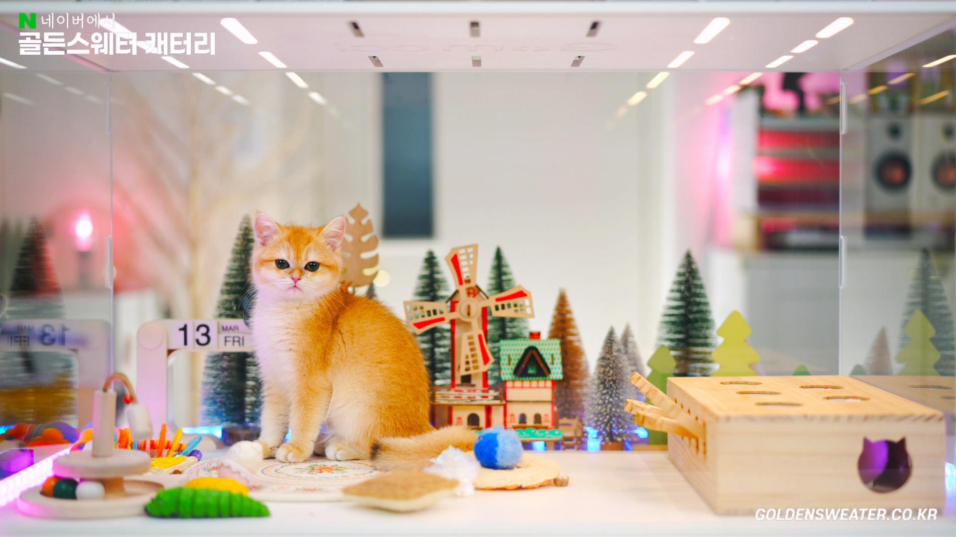 04760d6165eed.jpg