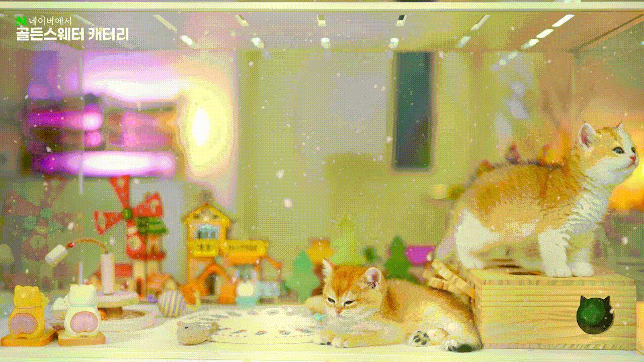 15b362857ed4f.gif