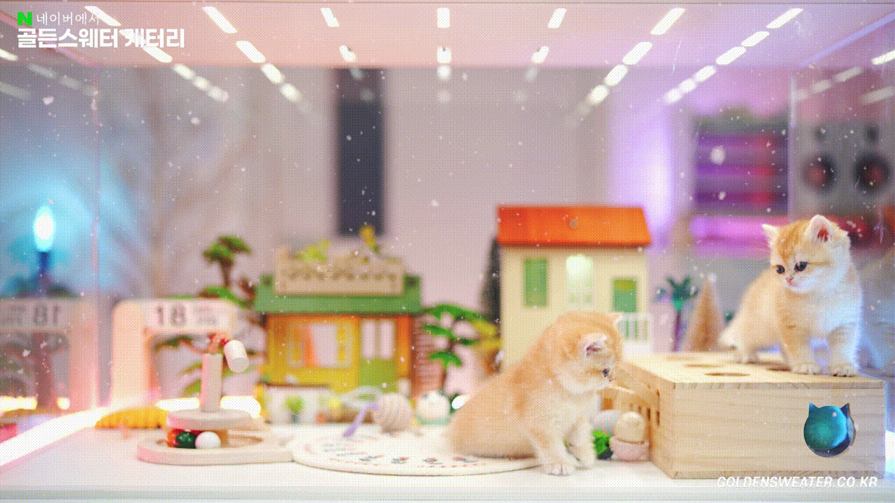 1a1d8170769d7.gif